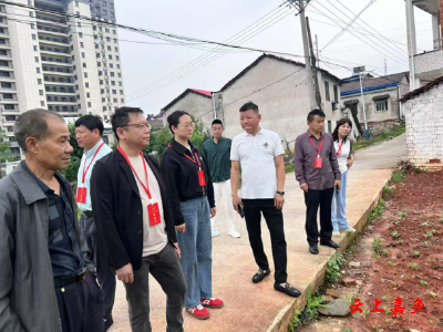 鱼岳镇人大：“美颜”方家庄村