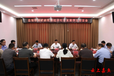 王永在调研新街镇经济社会发展情况座谈会上强调：要加强干部培养，提高能力、以商招商，为推动嘉鱼高质量发展贡献力量
