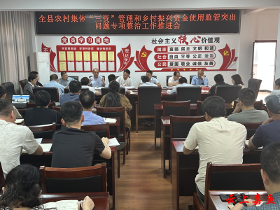 嘉鱼县召开农村集体“三资”管理和乡村振兴资金使用监管突出问题专项整治工作推进会