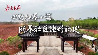 微视|【实施产业倍增 聚焦支点建设】田野九养小镇：颐养社区雏形初现