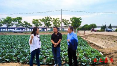 中国园艺学会专家团队来嘉调研 共探蔬菜产业发展新路径