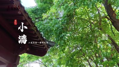 小满初盈 静待成熟