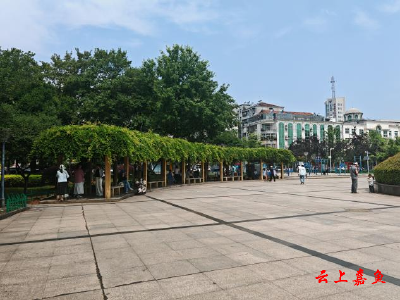 嘉鱼荣膺全国文明城市市民纷纷点赞