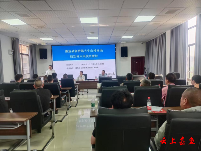 以“拍”促兴！官桥镇大牛山村集体资产竞拍唤醒发展新动能