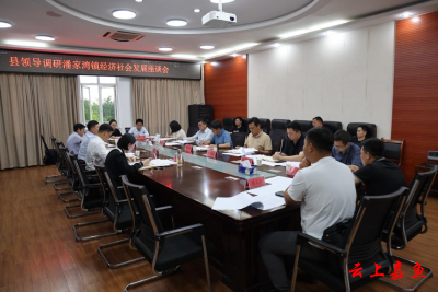 王永在调研潘家湾镇经济社会发展座谈会上强调：要强化支点建设，全力冲刺“双过半”，为实现全年经济社会发展目标拼搏奋斗