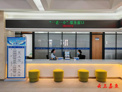 嘉鱼县政务服务中心：“一老一小”服务窗口打造民生服务新标杆