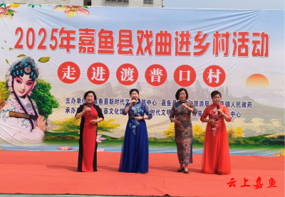 2025年嘉鱼县戏曲进乡村活动走进渡普镇渡普口村