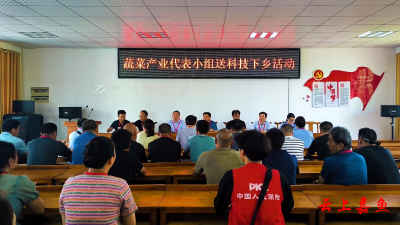 嘉鱼县蔬菜产业人大代表小组开展送科技政策下乡活动，赋能嘉鱼蔬菜产业发展