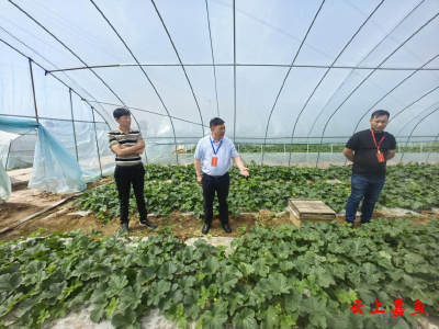 县人大常委会开展蔬菜产业专题调研