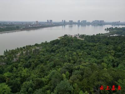 嘉鱼县牛头山森林公园：生态绿肺助力乡村振兴 打造全域旅游新名片