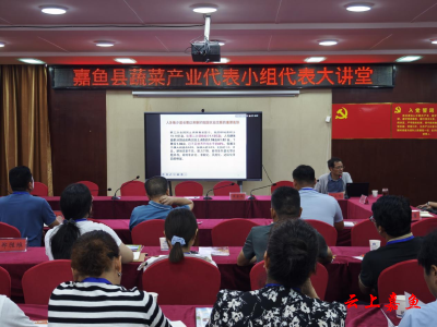嘉鱼县蔬菜产业代表小组开展代表大讲堂活动