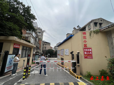 党建“金钥匙”开启居民自治新图景  ——嘉鱼两个小区的治理蝶变启示录
