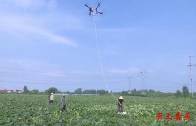 无人机“空中搬运”助力南瓜采收 湖北嘉鱼智慧农业再添新场景