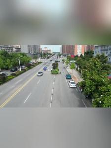 微视|县园林局：科学养护绿植，为城市“呼吸”保驾护航