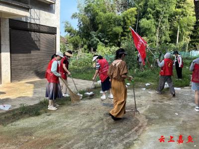 鱼岳镇三湖社区：清洁日的蝴蝶效应