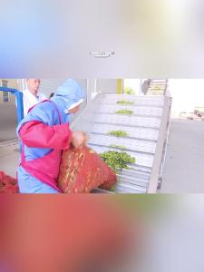 微视 | 湖北国美速冻食品加工项目建成投产