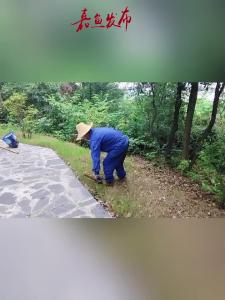 微视 | 牛头山森林公园：日常管护不松懈 守护绿色美景