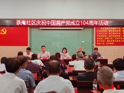 鱼岳镇茶庵社区开展庆祝中国共产党成立104周年活动