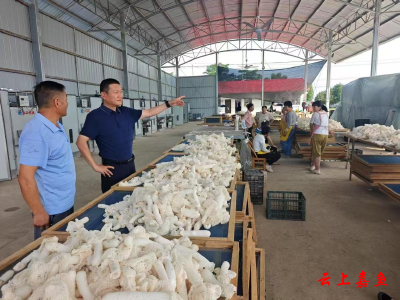 嘉鱼民兵：缅怀革命先烈赓续红色血脉