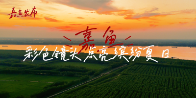 咸宁嘉鱼：用彩色镜头点亮缤纷夏日