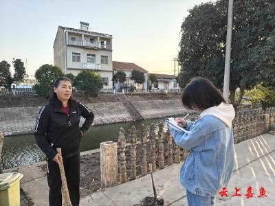 咸宁嘉鱼：以“三联”为笔，绘就乡村治理新图景