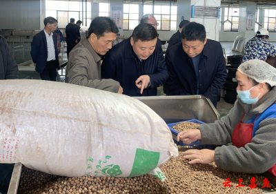 “链”上履职！嘉鱼人大代表书写产业高质量发展答卷