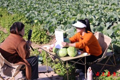 直播带货赋能咸宁嘉鱼蔬菜“线上走俏”
