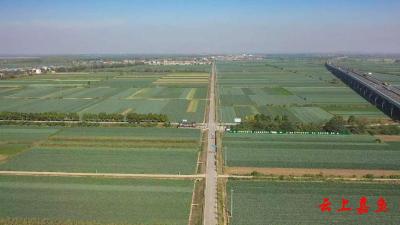 咸宁嘉鱼：土地改革激活乡村振兴新动能