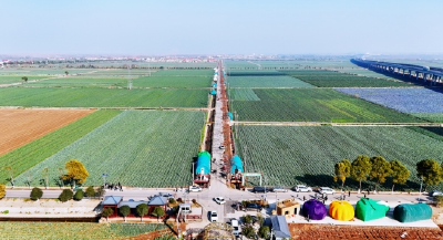 从“菜篮子”到“幸福篮子”：咸宁嘉鱼蔬菜价格高位期持续时间创纪录