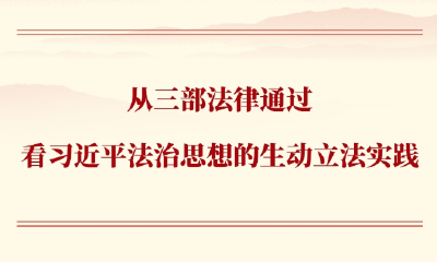 第一观察丨从三部法律通过看习近平法治思想的生动立法实践