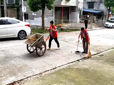 通城县审计局助力文明城市创建