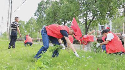 【下基层 察民情 解民忧 暖民心】通城县公检中心：清理路边杂草 助力文明城市创建