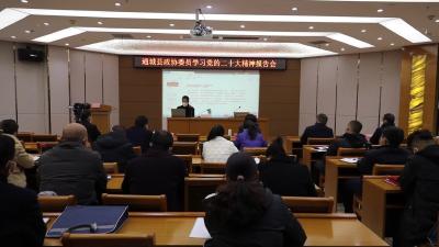 视频-【聚焦两会】政协委员专题学习党的二十大精神 