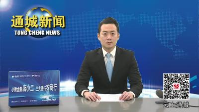 视频-【聚焦两会】携民意 传民声！人大代表今日报到 