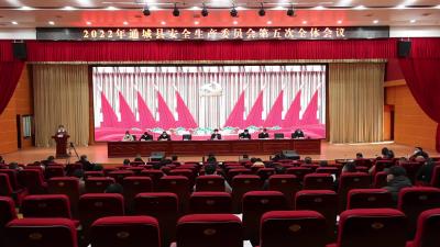 视频-通城县召开2022年安全生产委员会第五次全体会议