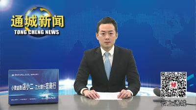 视频-【聚焦两会】政协委员分组讨论政协工作报告 