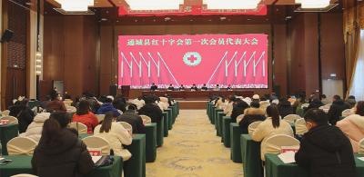 通城县红十字会第一次会员代表大会召开