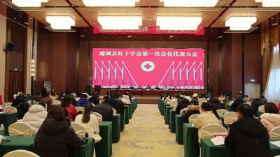 视频-通城县红十字会第一次会员代表大会召开