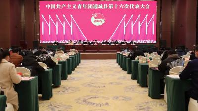 视频-中国共产主义青年团通城县第十六次代表大会召开