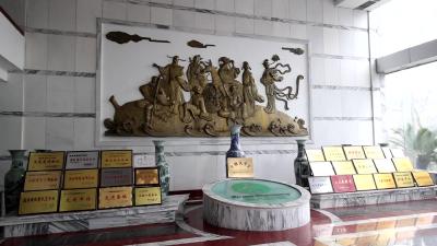视频-【主播带你看发展③】湖北福人药业：开足马力忙生产 确保抗疫药品供应