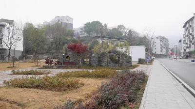 视频-【主播带你看发展④】通城：让“城市公园”成为群众的幸福乐园