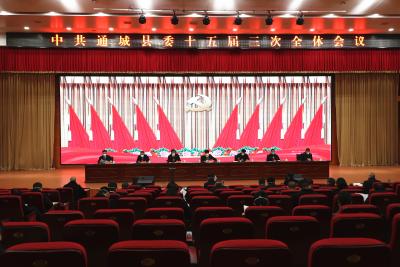 中国共产党通城县第十五届委员会第三次全体会议决议