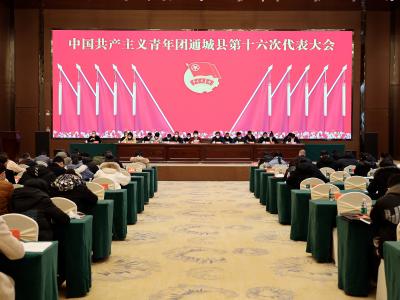 中国共产主义青年团通城县第十六次代表大会召开