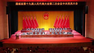 视频-【聚焦两会】通城县“两会”中共党员大会召开