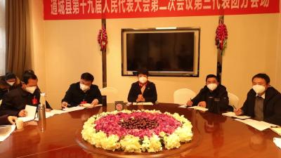 视频-【聚焦两会】人大代表分团继续讨论政府工作报告 