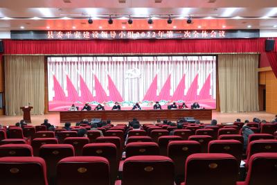 通城县召开县委平安建设领导小组2022年第二次全体会议