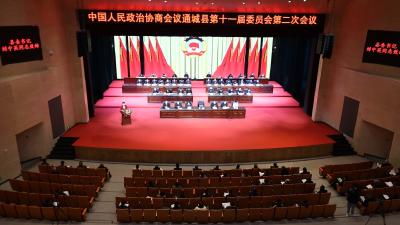 【聚焦两会】政协通城县第十一届委员会第二次会议开幕