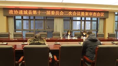 视频-【聚焦两会】政协通城县第十一届委员会二次会议提案审查会议召开