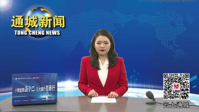 视频-通城县政府党组召开2022年度民主生活会征求意见座谈会 