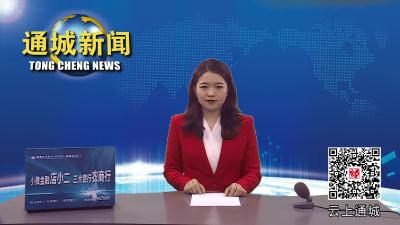 新年第一个工作日：通城调研督办一季度“开门红”工作